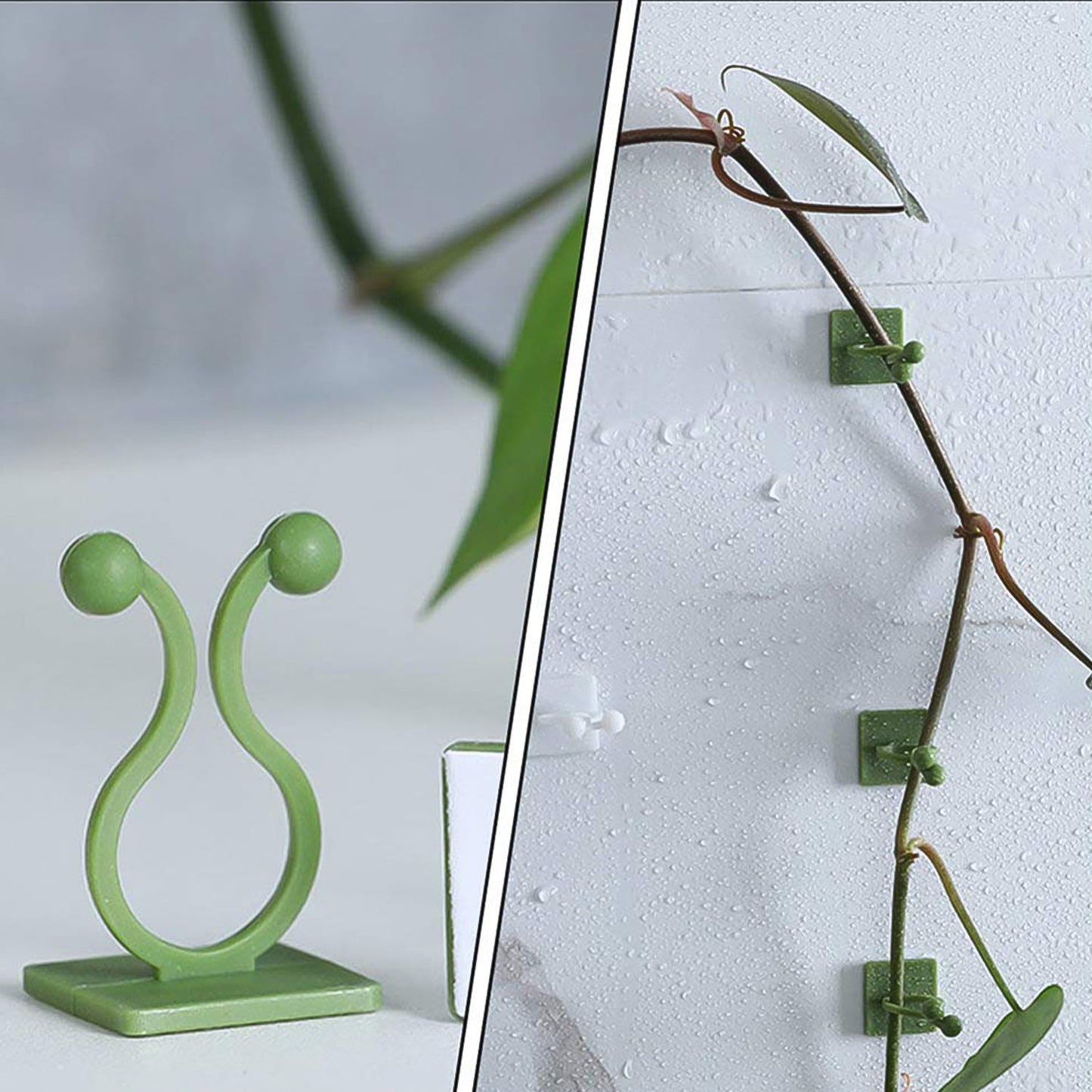 Plant Climbing Wall Fixture Clip Self-adhesive Hook (40 Pcs Set With Plastic Box)