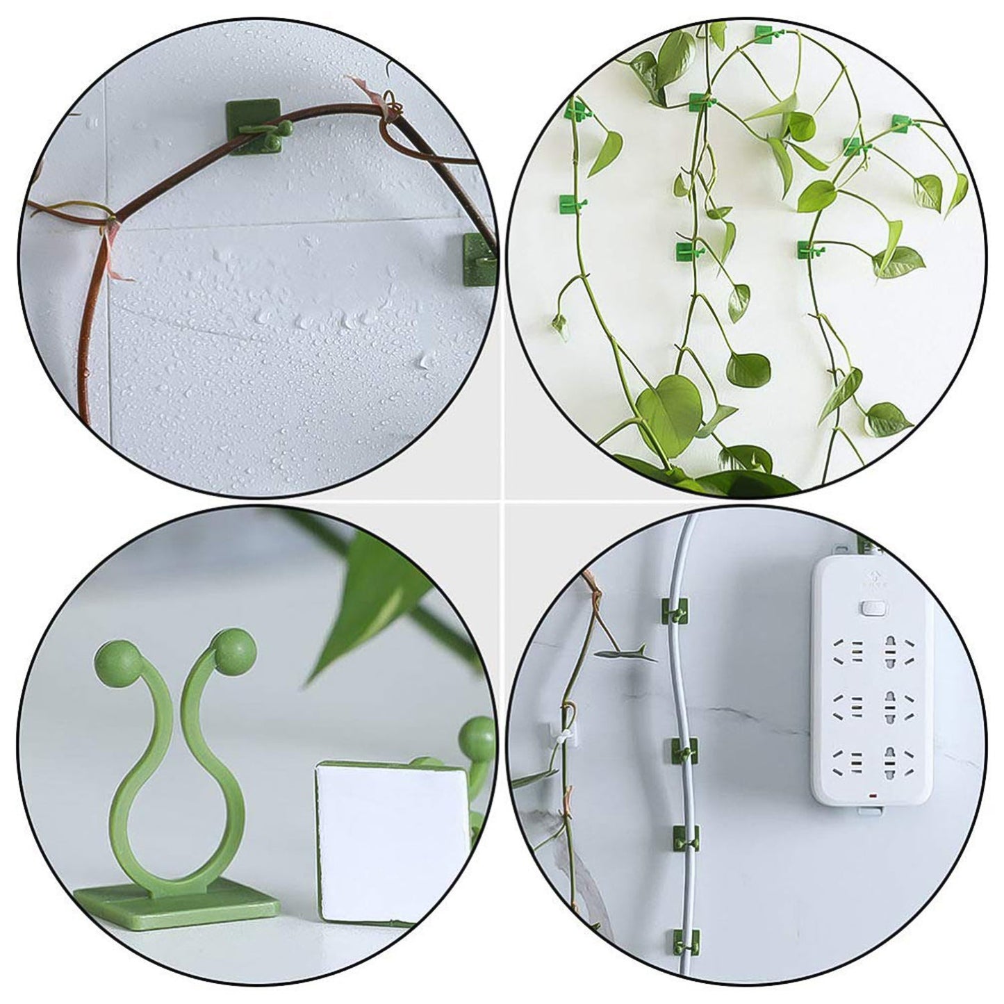 Plant Climbing Wall Fixture Clip Self-adhesive Hook (40 Pcs Set With Plastic Box)