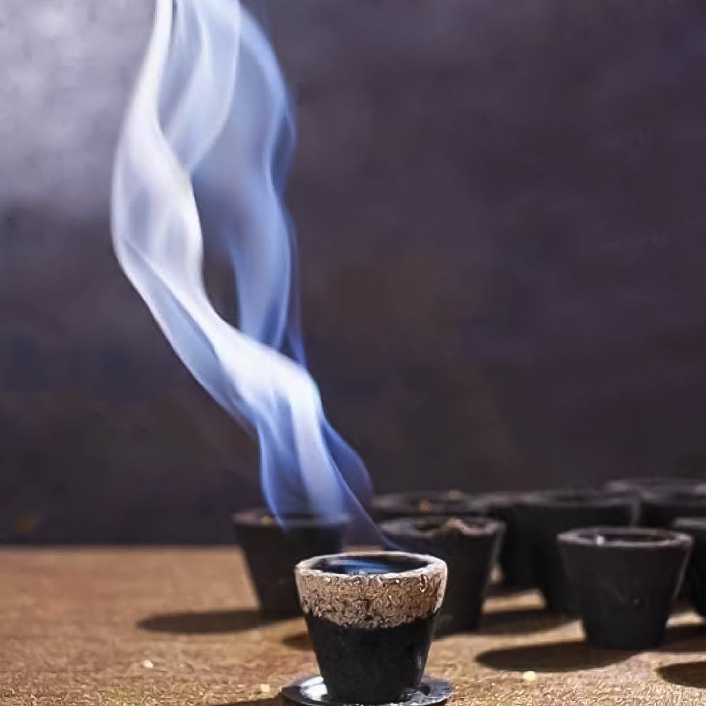 Premium Gugal Sambrani Havan Cups (12 Pcs Set)