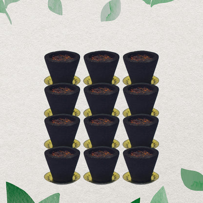 Premium Gugal Sambrani Havan Cups (12 Pcs Set)