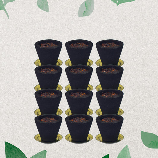 Premium Gugal Sambrani Havan Cups (12 Pcs Set)