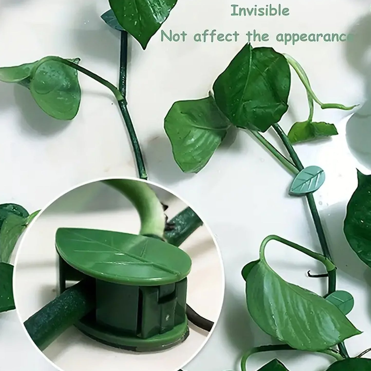 Plant Climbing Wall Fixture Clip (10pcs)