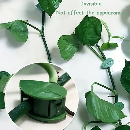 Plant Climbing Wall Fixture Clip (10pcs)